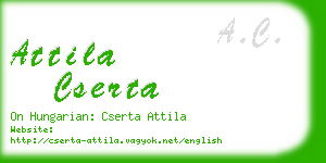 attila cserta business card